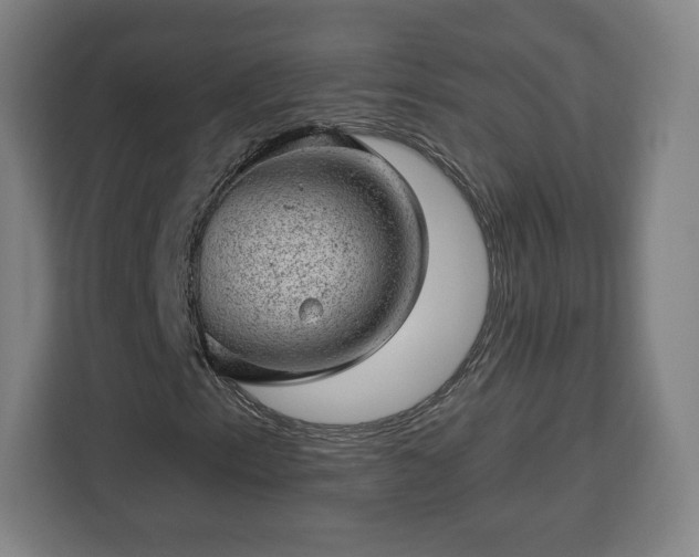 X0000112921153200908311251