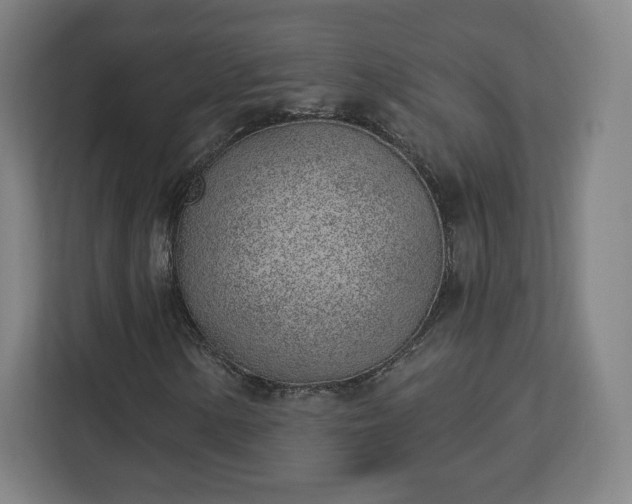 X0000112921154200908311251