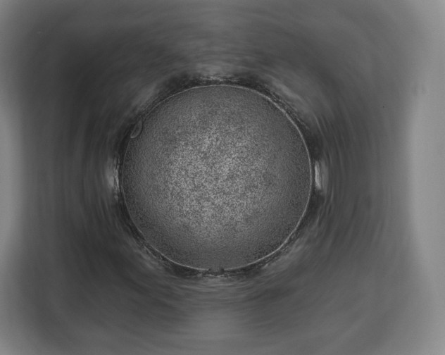 X0000112921155200908311251