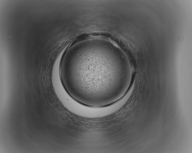 X0000112921157200908311251
