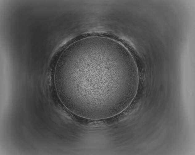 X0000112921159200908311251