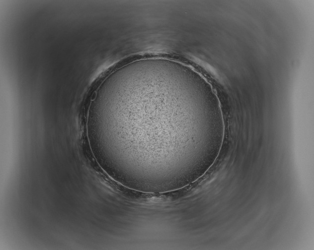 X0000112921160200908311251