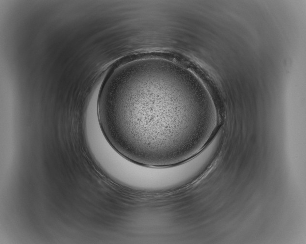 X0000112921161200908311251