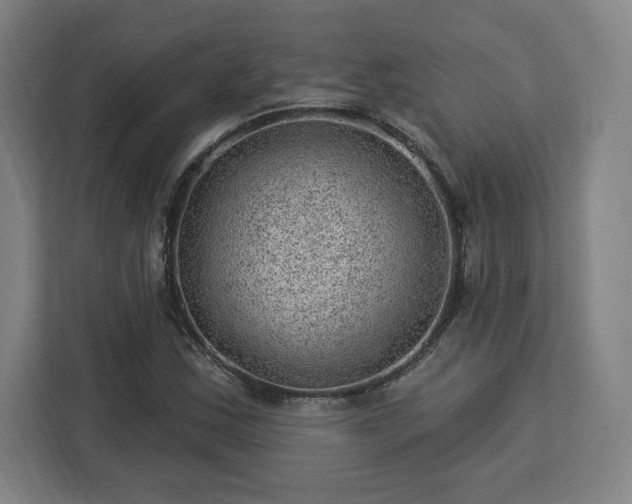 X0000112921163200908311251