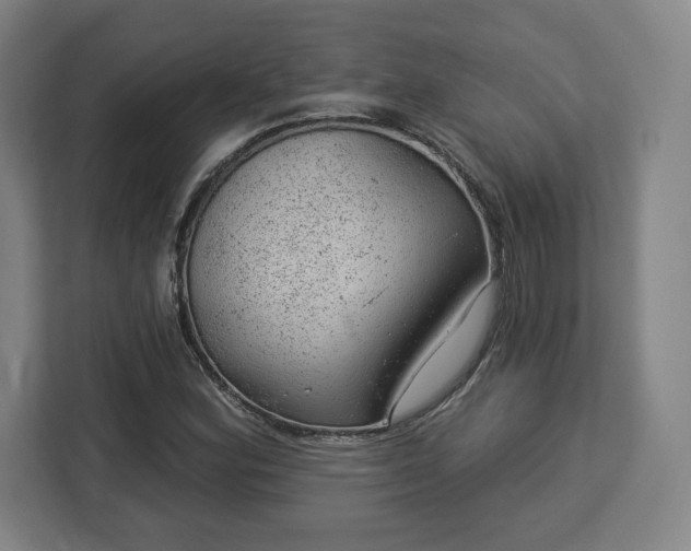 X0000112921164200908311251