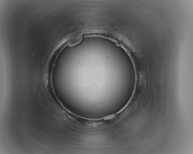 X0000112921165200908311251