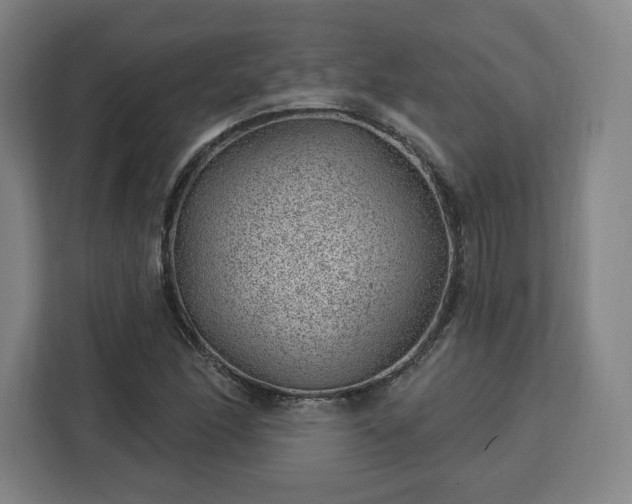 X0000112921166200908311251