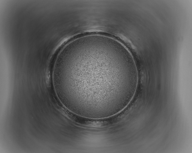 X0000112921167200908311251