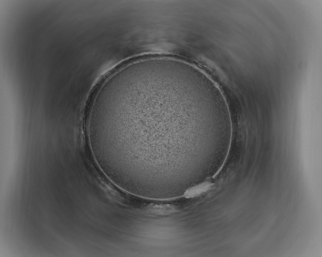 X0000112921168200908311251