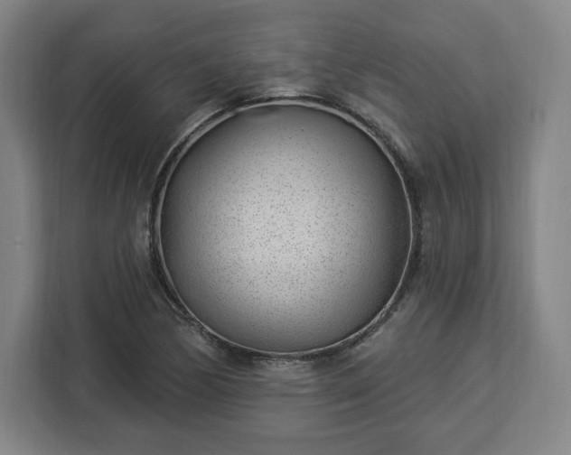 X0000112921170200908311251