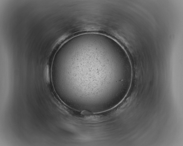 X0000112921171200908311251