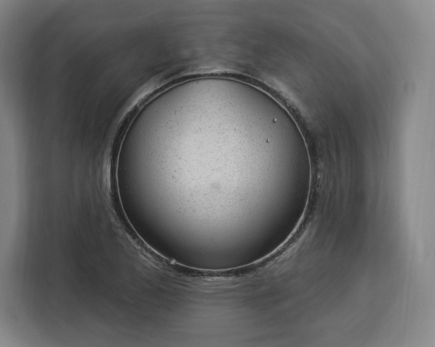 X0000112921173200908311251