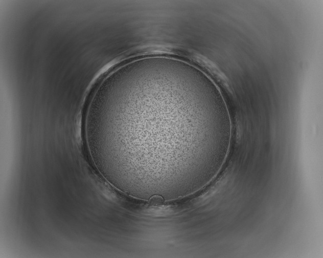 X0000112921174200908311251