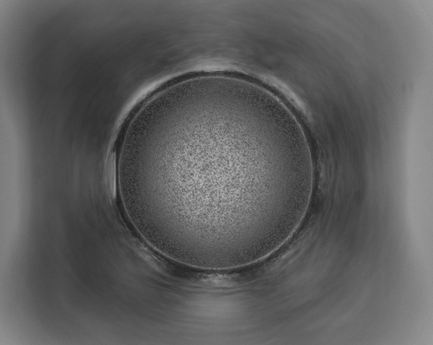 X0000112921175200908311251