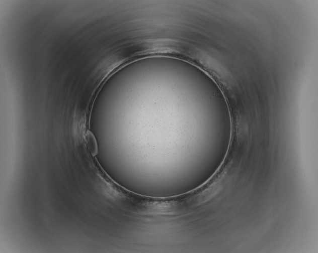 X0000112921177200908311251
