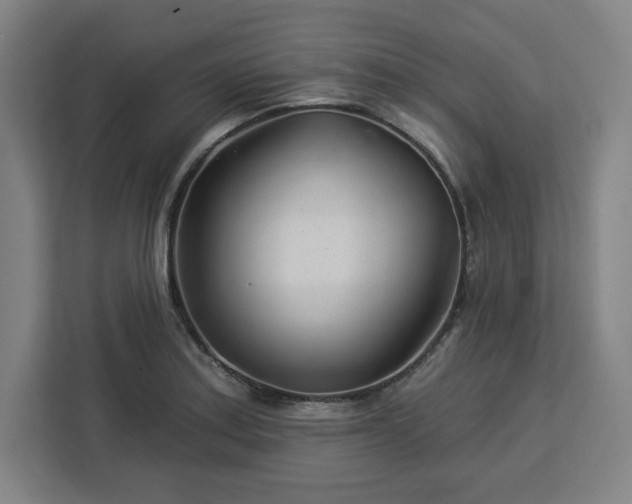 X0000112921179200908311251