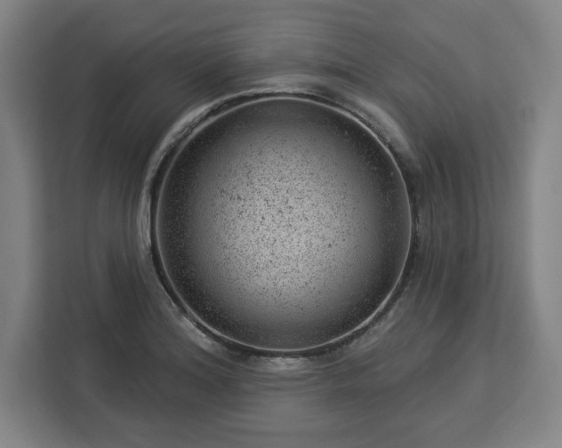 X0000112921180200908311251