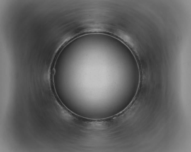 X0000112921181200908311251