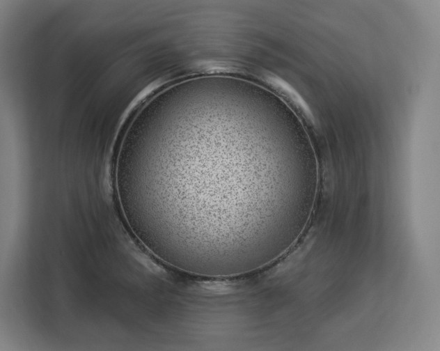 X0000112921182200908311251