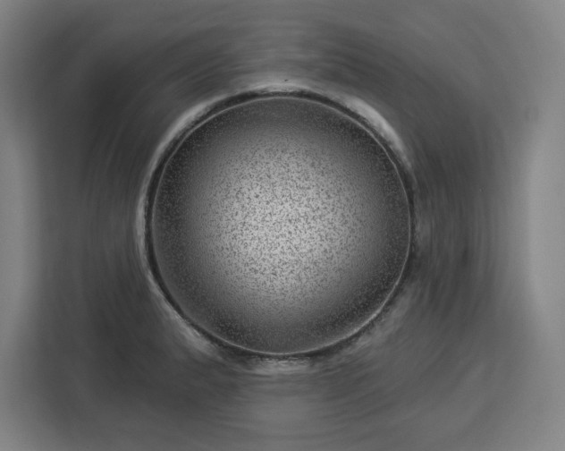 X0000112921183200908311251