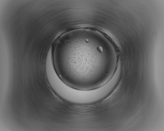 X0000112921185200908311251