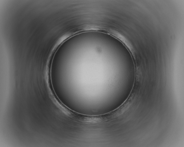 X0000112921187200908311251
