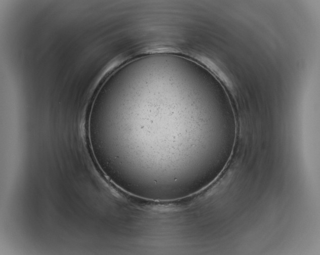 X0000112921189200908311251
