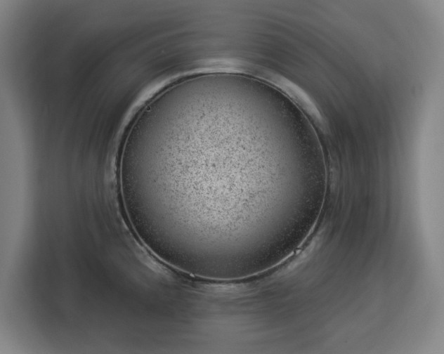 X0000112921192200908311251