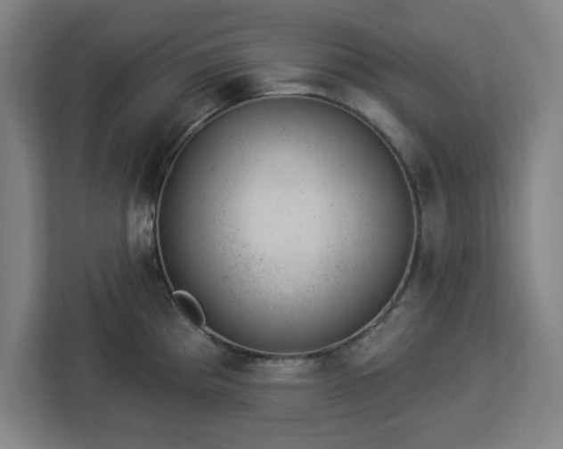 X0000112921193200908311251