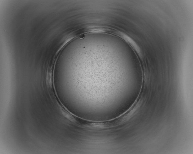X0000112921194200908311251