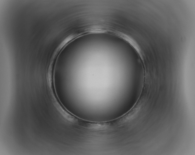X0000112921195200908311251