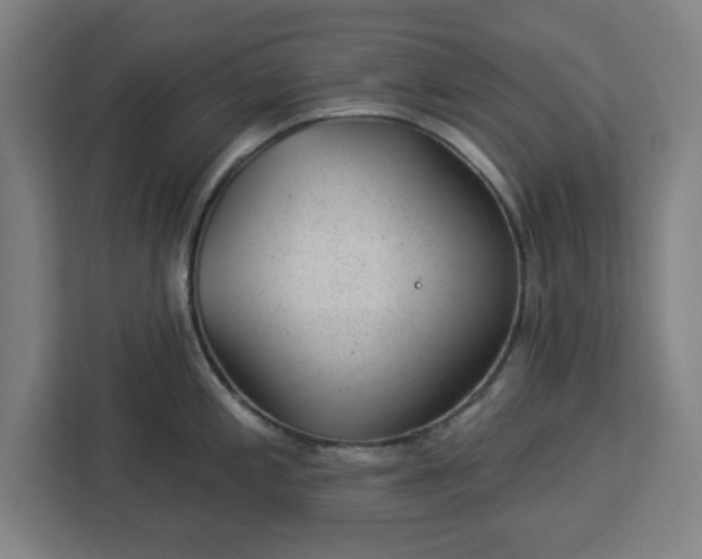 X0000112921197200908311251