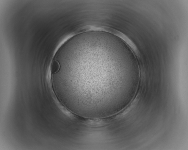 X0000112921198200908311251