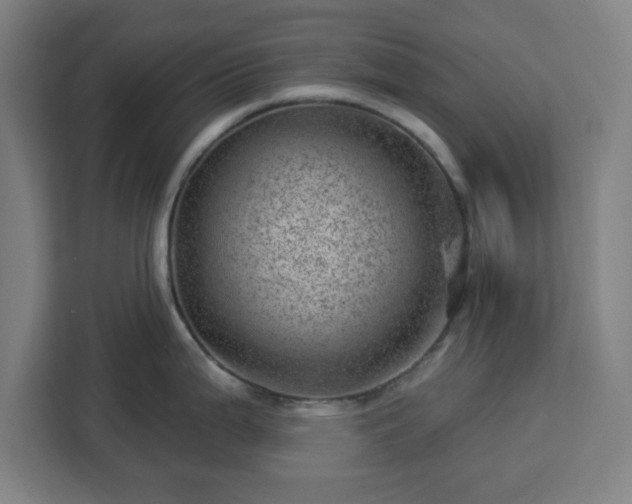 X0000112921199200908311251