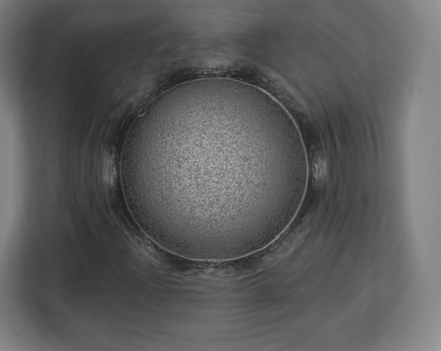 X0000112921204200908311250