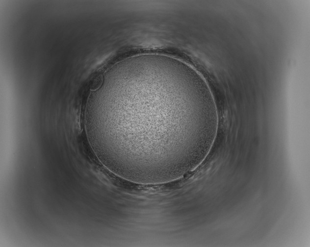 X0000112921205200908311250