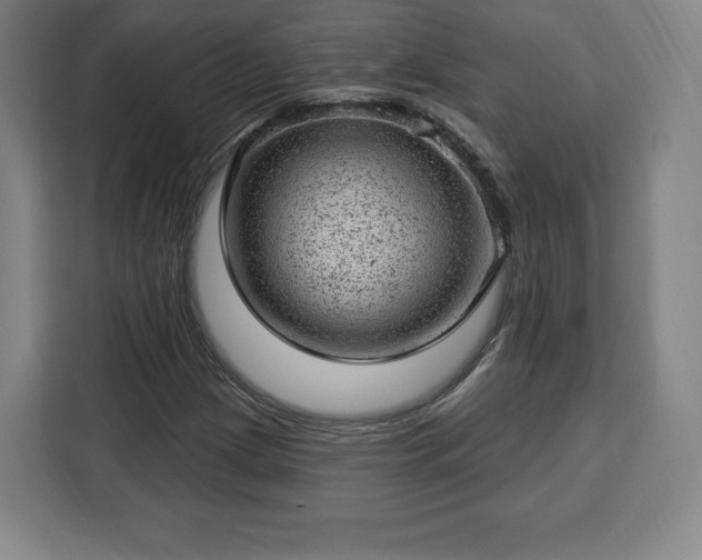 X0000112921209200908311250