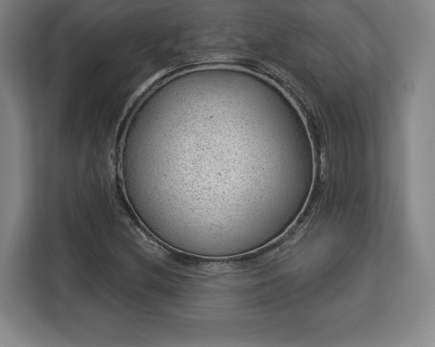 X0000112921212200908311250