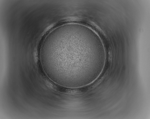 X0000112921213200908311250