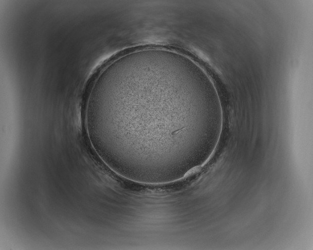 X0000112921214200908311250