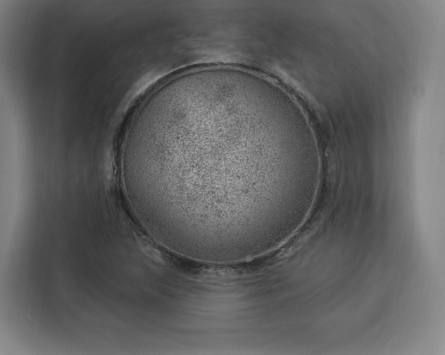 X0000112921215200908311250