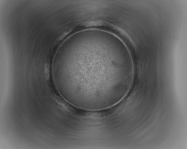 X0000112921217200908311250