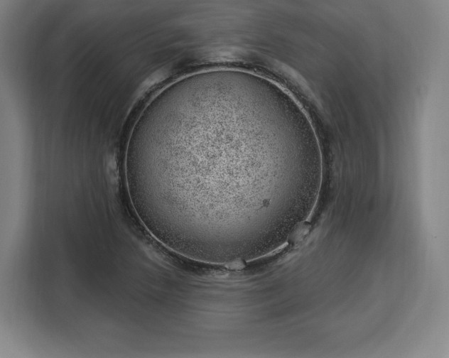 X0000112921218200908311250