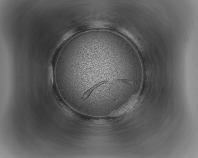 X0000112921219200908311250