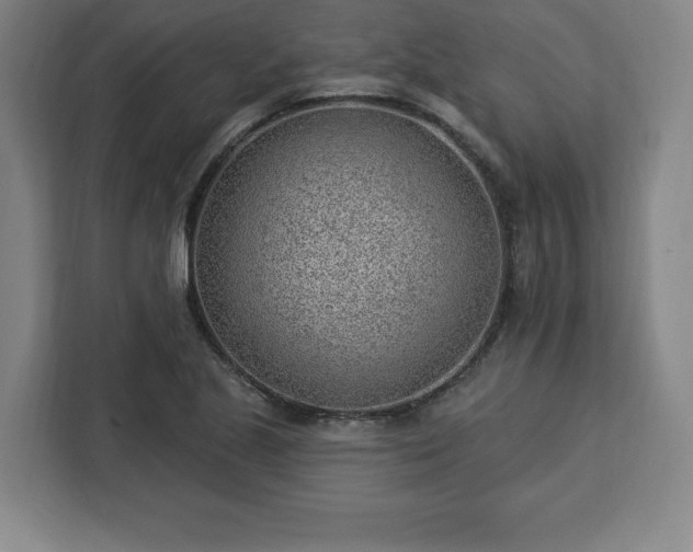 X0000112921221200908311250