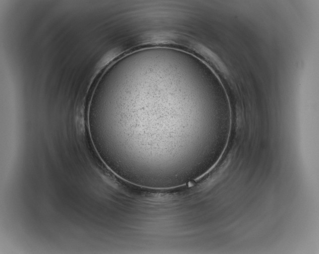 X0000112921226200908311250