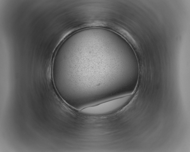 X0000112921228200908311250