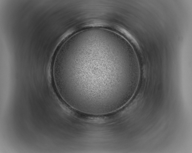 X0000112921229200908311250
