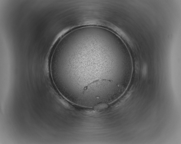 X0000112921230200908311250