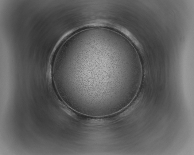 X0000112921232200908311251